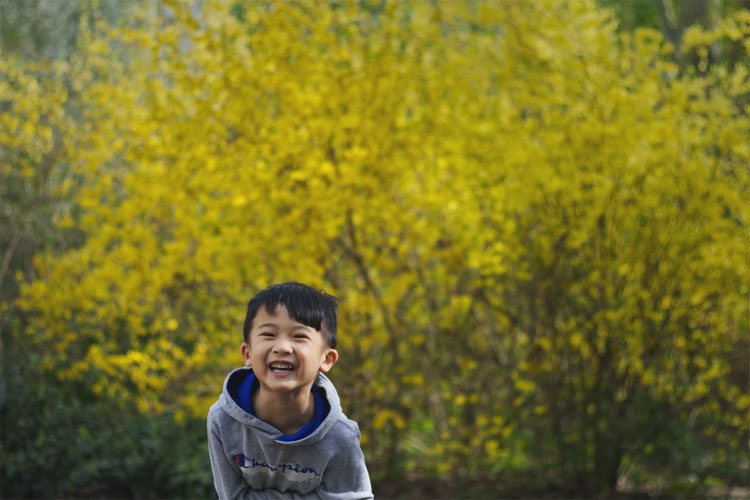 3歳男の子の七五三写真は超大変！家族で撮影する撮り方テクニック1