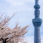 東京都内で十三参り写真におすすめの写真館