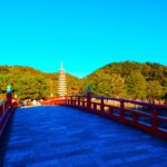 京都・四条烏丸にある1/2成人式写真の撮影におすすめな写真館10選
