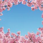 入園写真の撮り方を徹底解説！入園写真のおすすめ撮影時期や撮影方法を解説
