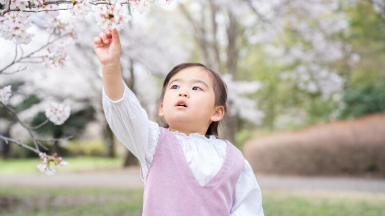 2歳のバースデーフォトの服装の選び方！おすすめ服装アイデアと写真スタジオ選びの注意点2