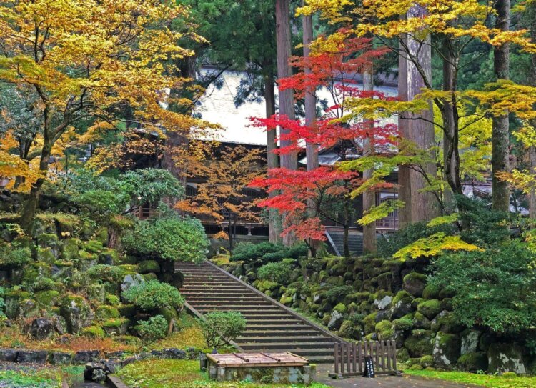 福井でおしゃれな入園入学・卒園卒業写真が撮影できるスタジオ9選！スタジオの選び方も解説2