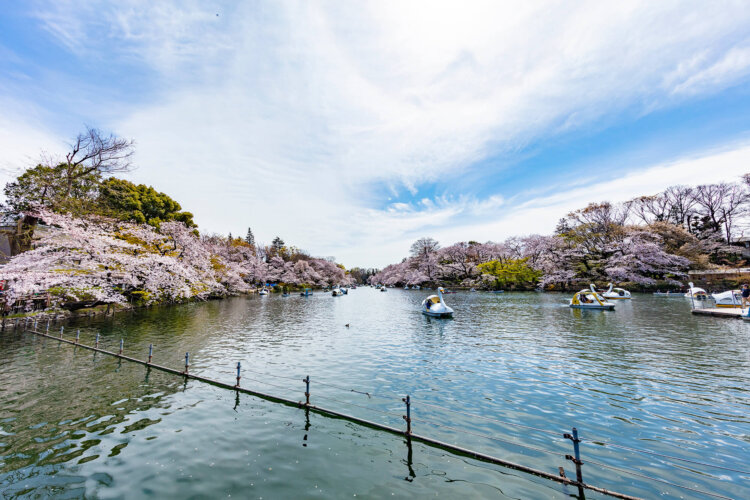 吉祥寺にある節句写真の撮影におすすめな写真館3選5