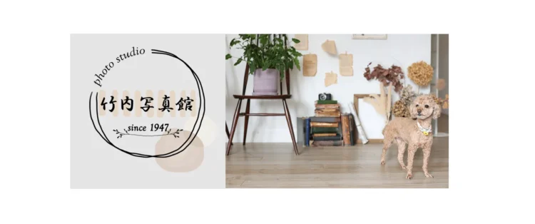 愛媛県でおすすめの婚活お見合い写真が綺麗に撮れる写真スタジオ10選9