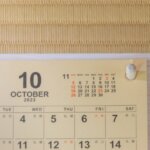 中学受験・願書写真はいつ撮る？撮影時期や注意点を解説！