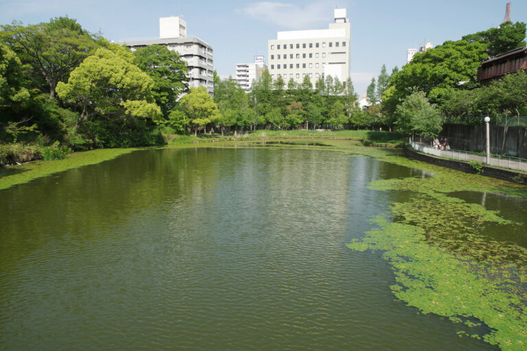 天王寺・あべのでおしゃれな入園入学・卒園卒業写真が撮影できるスタジオ8選！スタジオの選び方も解説