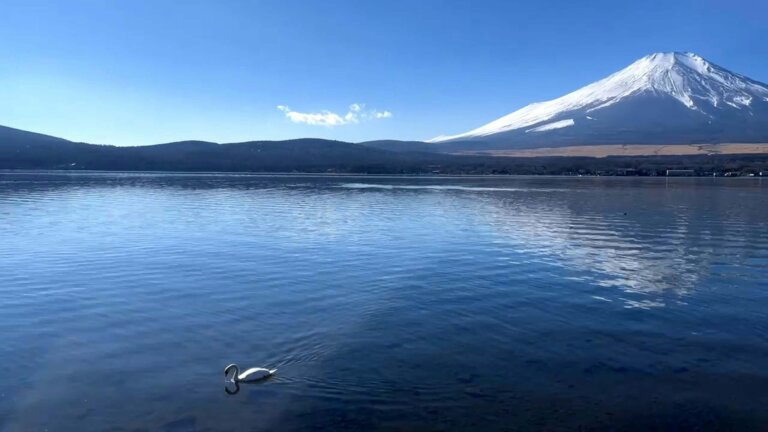 山梨でおしゃれな入園入学・卒園卒業写真が撮影できるスタジオ10選！スタジオの選び方も解説