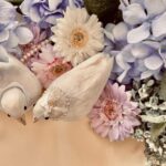 婚活写真に適した写真スタジオの選び方解説！事前準備も詳しく紹介