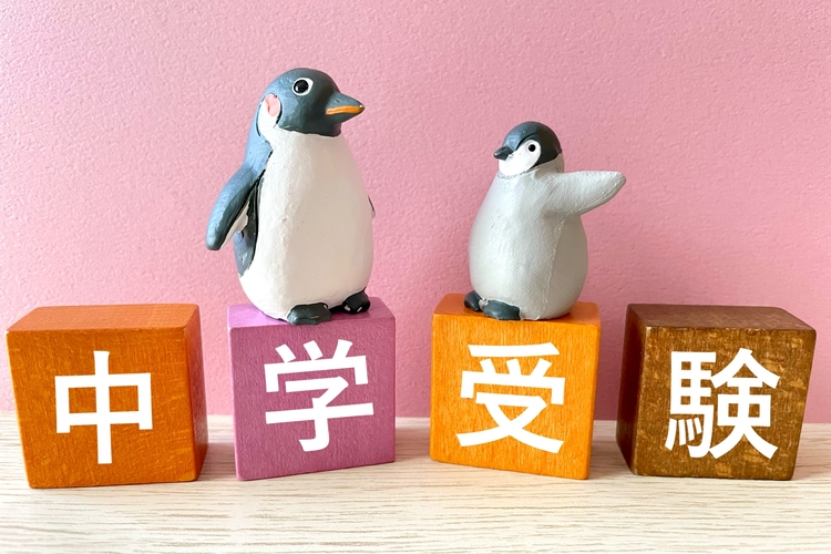 中学受験写真の服装は当日着るかも?注意点やおすすめ組み合わせ5