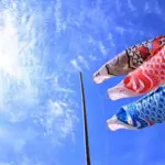 初節句に飾るこいのぼりは誰が買う？飾る意味や選び方についても紹介8