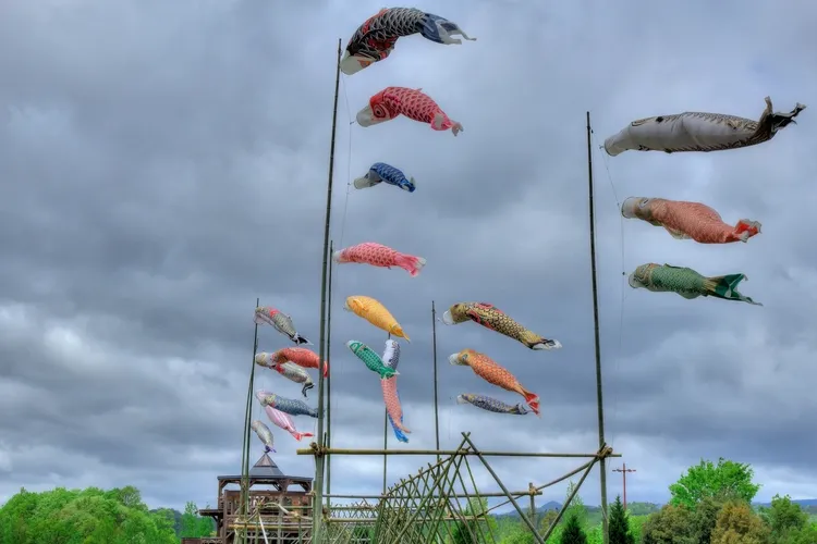 初節句に飾るこいのぼりは誰が買う？飾る意味や選び方についても紹介8