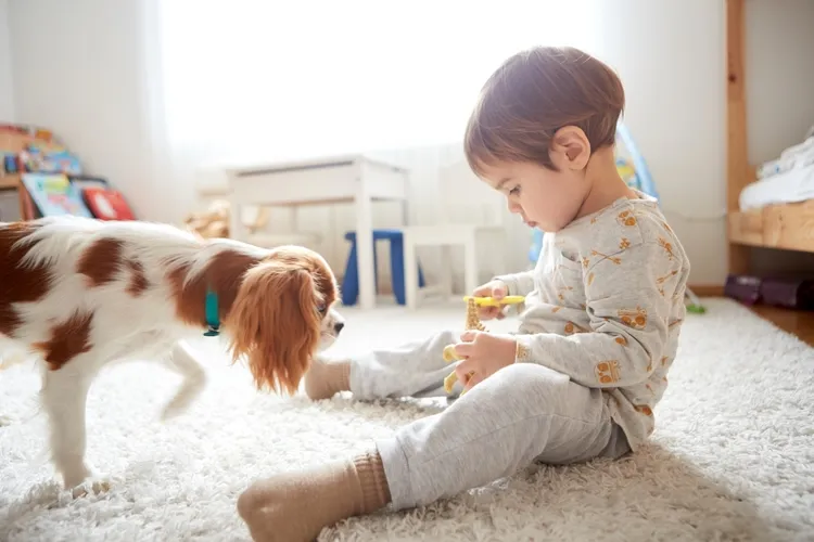 初節句の写真はどこで撮影する？料金相場や選び方を詳しく解説2