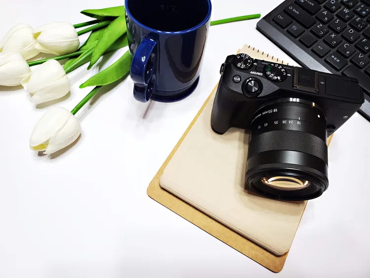 初節句はどんなお祝いをする？男女別の祝い方やお祝い金の相場も解説15