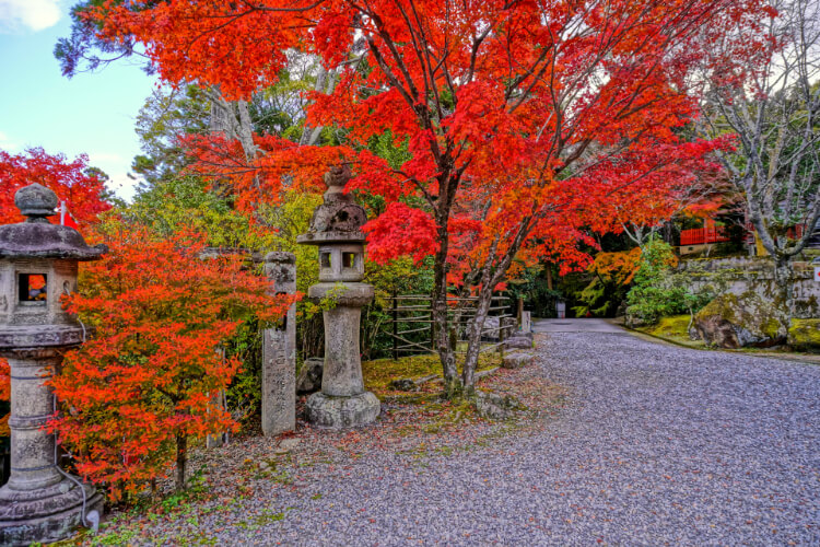 十三参りはどこでできるの？各地の十三参りにおすすめなお寺・神社を紹介11