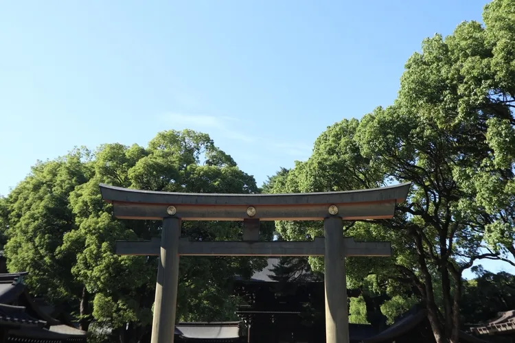 男の子は袴でカッコよく十三参りをしよう！必要な小物やレンタル方法まで解説11